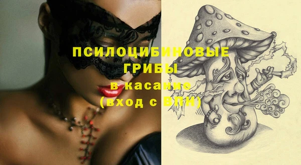 spice Алексеевка