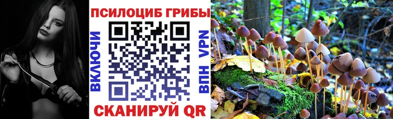Галлюциногенные грибы Psilocybine cubensis  Крымск 
